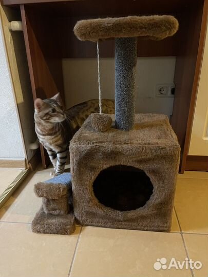 Домик-когтеточка для животных