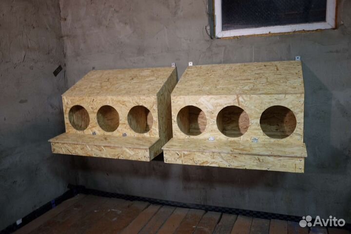 Гнезда для кур - несушек с яйцесборником