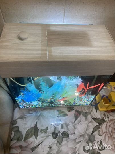 Аквариум под ключ 10 л, фильтр