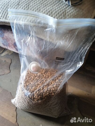 Корм для кошек