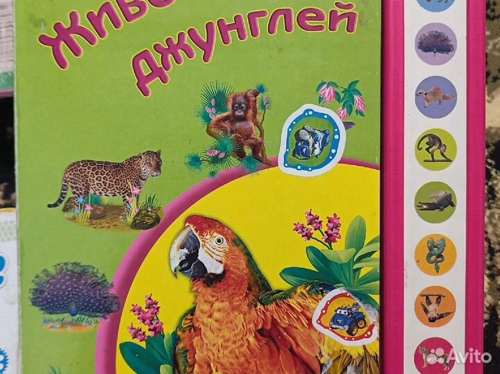 Музыкальная книга