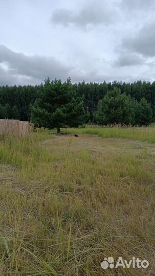 Работа разнорабочим оплата сразу