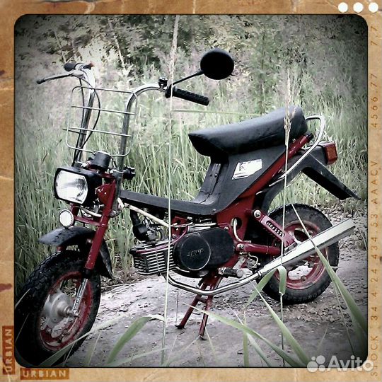 Рига стелла