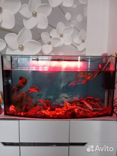 Украшение для аквариума