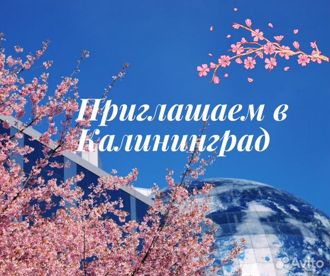 Калининград, экскурсионный тур на 7 дней