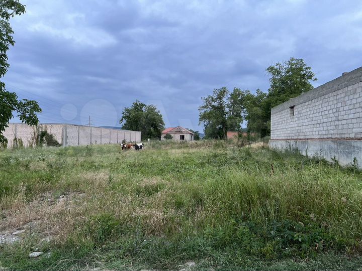 Участок 5,25 га (СНТ, ДНП)