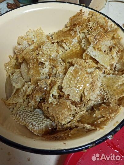 Забрус, мед 2023