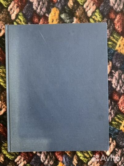 Джинс Лоллобриджида очарование невинности