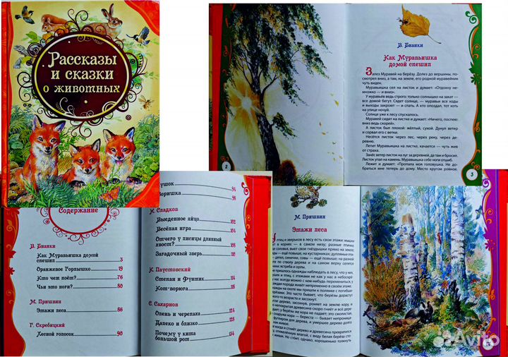 Детские книги. Волшебные сказки