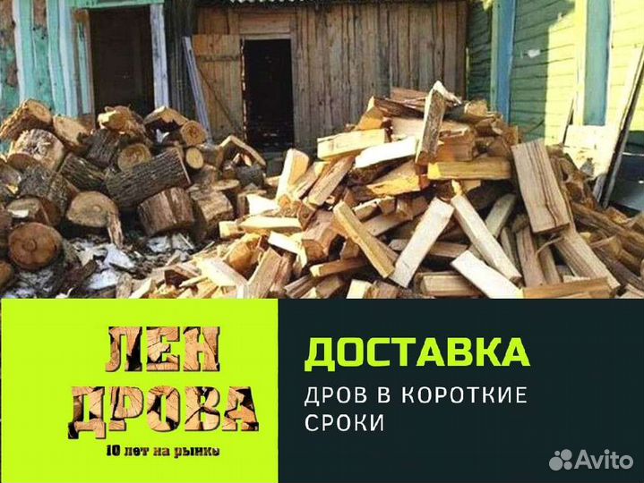 Дрова березовые