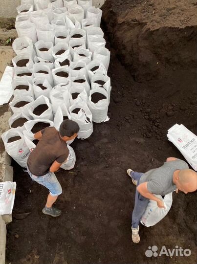 Чернозем перегной навоз