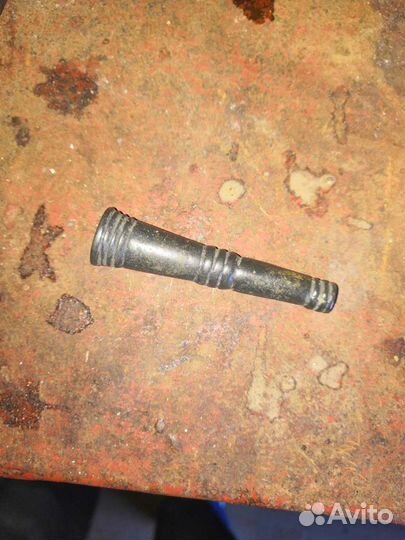 Игольница, пронизка, трутница