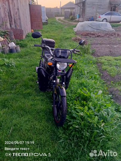 Альфа лесник