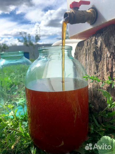 Продаю мед разнотравье