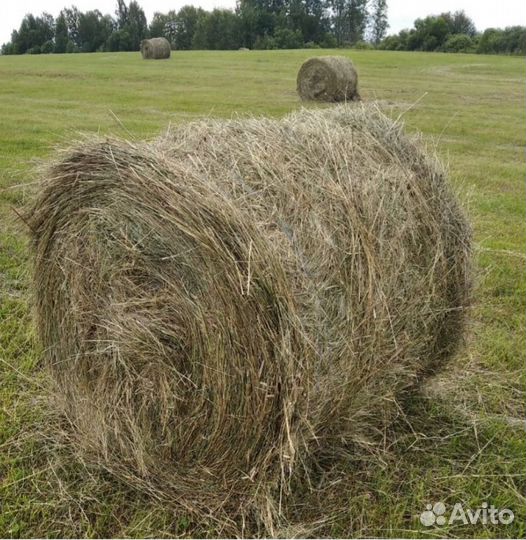 Продажа сена в рулонах Амурская область