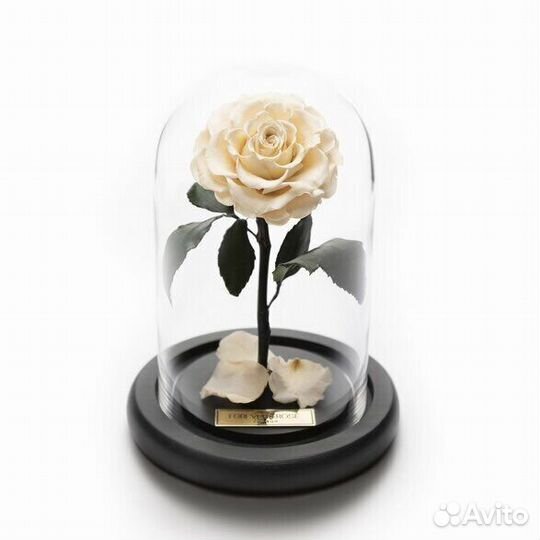 Роза в колбе