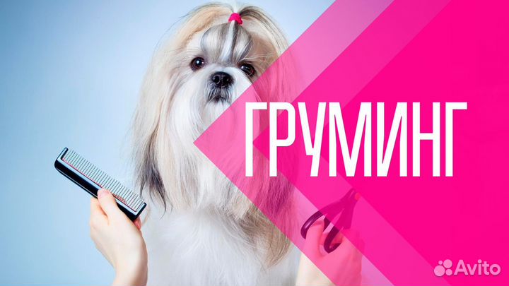 Стрижка собак и кошек