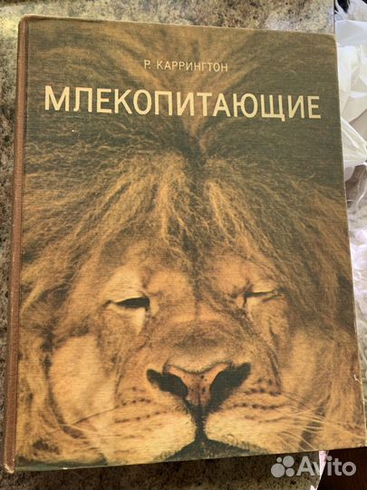 Книги о животном мире цена за все