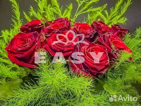 Розы Букеты Цветы 101,51 с доставкой
