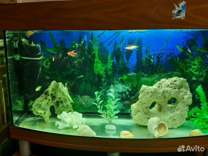 Аквариум 120л