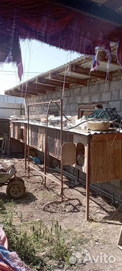 Клетка для кроликов