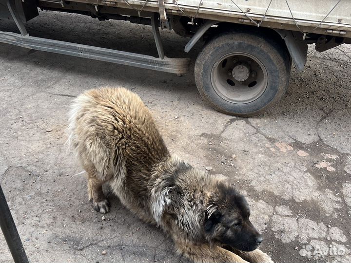 Кабель для вязки