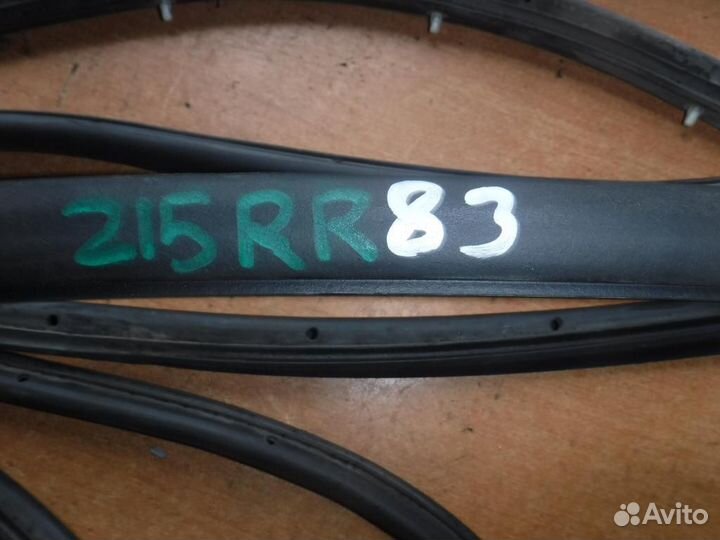 Уплотнитель (внутри) Focus 2 рест