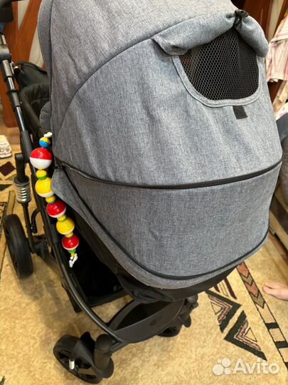 Коляска 2 в 1 indigo lotus