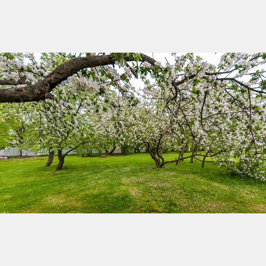 2-к. квартира, 70 м², 11/19 эт.