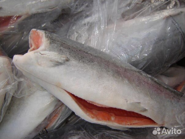 Форель потрошенная