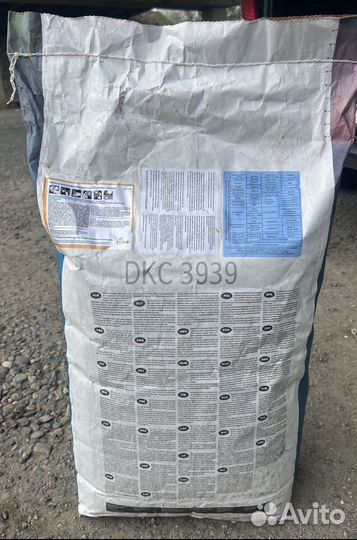 Семена кукурузы