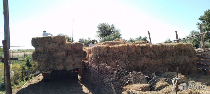 Сено-Доставка