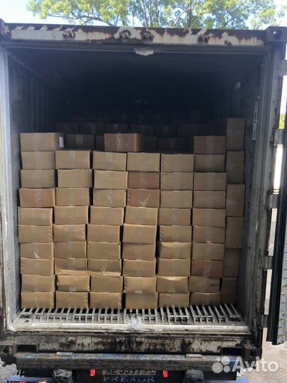 Сладкая кукуруза