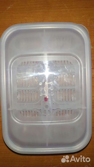 Инкубатор, термоковрик для рептилий