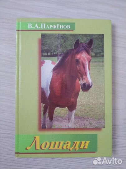 Книга о лошадях