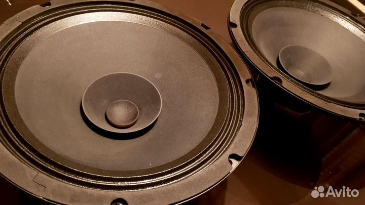 Широкополосные динамики 12