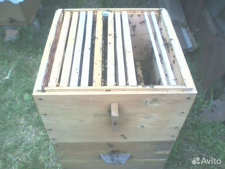 12 рамочный дадан, альпийские ульи