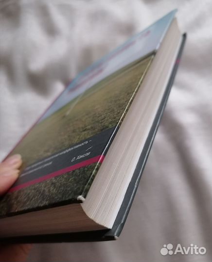 Эффективность рекламы