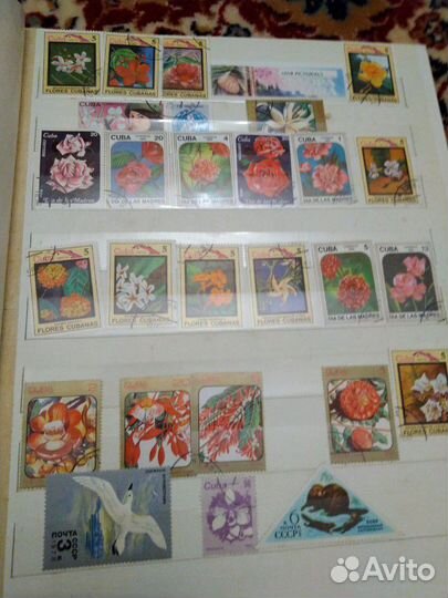 Альбомы с марками