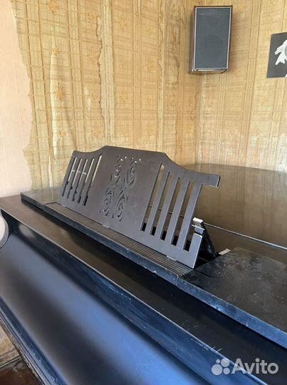 Рояль Блютнер Aliquot-piano