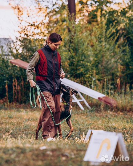 Кинолог. Дрессировка и воспитание собак