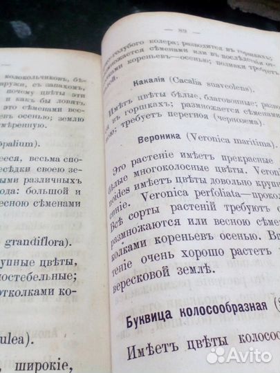 Книга антиквариат 