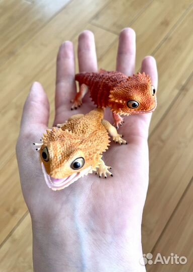 Ящерица фигурка Bandai