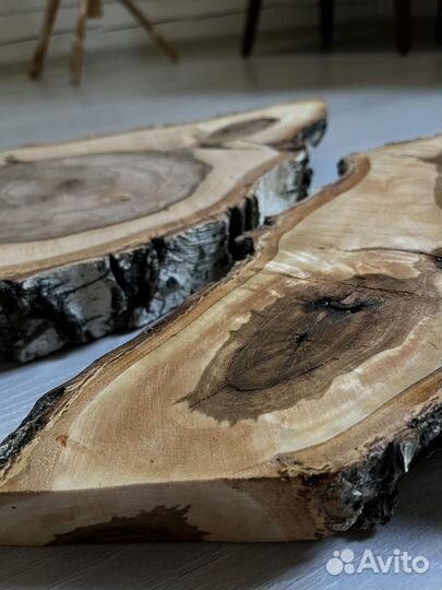 Поперечные спилы березы