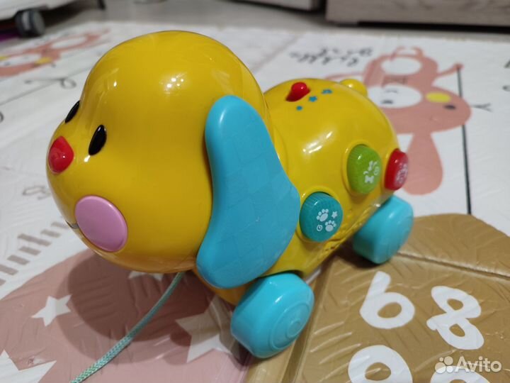 Развивающие музыкальные игрушки собака и машина