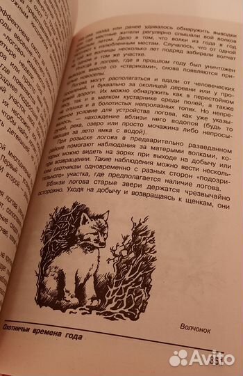 Энциклопедия охотника