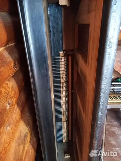 Рояль салонный Бекштейн