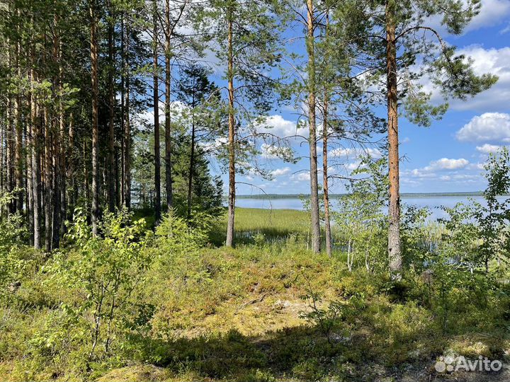 Озеро «Нюхти»