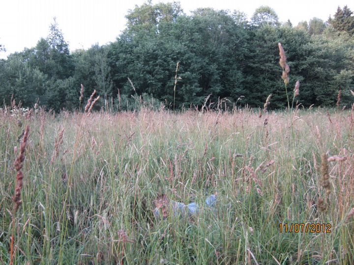 Дом 115 м² на участке 15 сот.