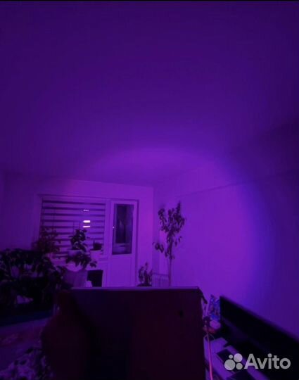 Фитолампа для растений
